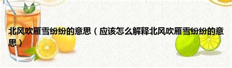 北風北 意思|北風 的意思、解釋、用法、例句